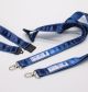 Lanyard
